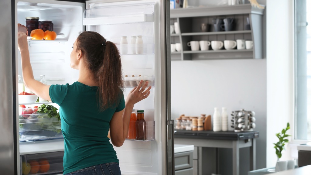 The History of Refrigerators: From Ice Blocks to Smart Fridges